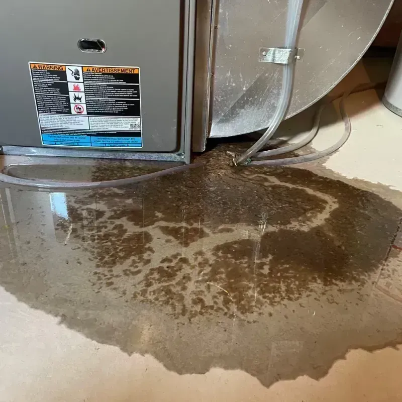 Appliance Leak Cleanup in Longmont, CO